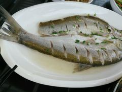 -旺山·浪头人家