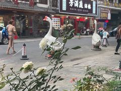 -巢湖名吃·东关老鹅汤(江南风情街店)