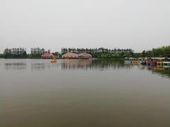 -上海长兴岛郊野公园