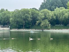 -石家庄市动物园