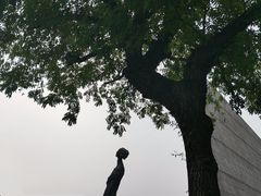 -侵华日军南京大屠杀遇难同胞纪念馆