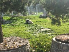 -西安秦岭野生动物园