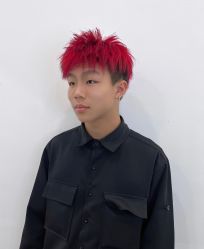 -YESIDO椰岛造型