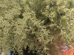 -徐记海鲜(大雁塔|金都店)