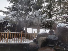 -汉拿山温泉度假酒店