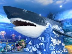 -多彩贵州城极地海洋世界