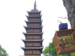 -常熟方塔园
