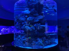 -成都浩海立方海洋公园