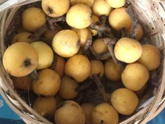 -塘栖枇杷特色园区