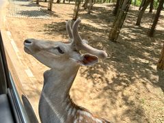 -秦皇岛野生动物园