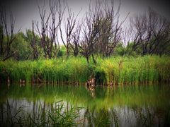 -处女泉风景名胜区