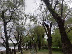 -长春市南湖公园