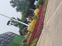 -丁香湖公园