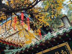 -千佛山风景名胜区