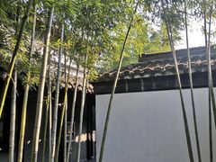 -梅园