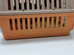 -恒幸动物医院·急重症转诊中心·神经内外科·CT核磁