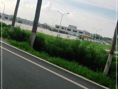 -白洋淀景区