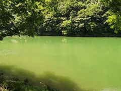 -龙道沟景区