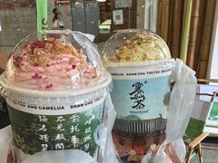 -雾与山茶(大禹城店)