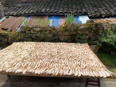 -宁波浙东大竹海景区