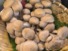 -芸山季·云南野生菌火锅(宝能环球汇店)