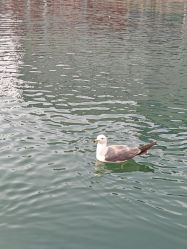 -星海水上乐园(星海广场圣亚店)