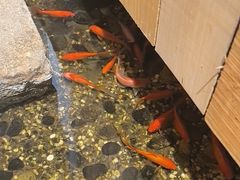 -邈墨茶馆(凤起路店)