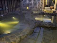 -春晖园度假酒店温泉