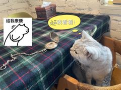 -不舍昼夜咖啡馆
