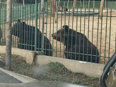 -秦皇岛野生动物园
