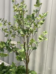 -亦美瑜伽·普拉提