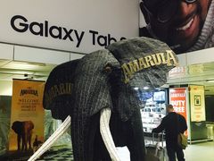 -奥利弗·雷金纳德·坦博国际机场