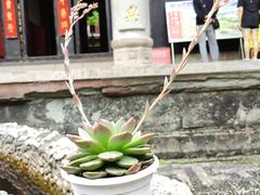 -都江堰普照寺