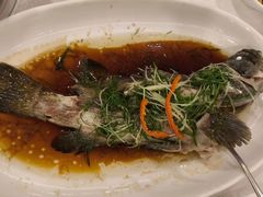 -金鮀岛潮州酒家