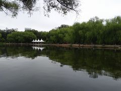 -青城公园