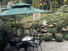 -十八棵（老龙井）御茶园(老龙井店)