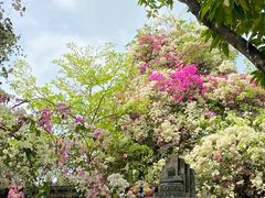 -深圳国际园林花卉博览园