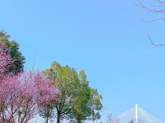 -武昌江滩