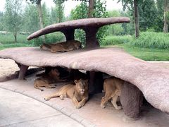 -北京野生动物园