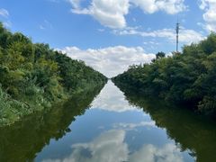 -黄海国家森林公园