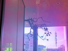 -杏花堂晋商私房菜(华熙五棵松店)