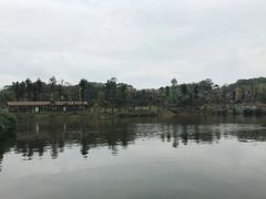 -枫香湖儿童公园