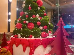 -南京金丝利喜来登酒店