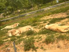 -秦皇岛野生动物园