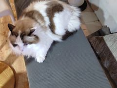 -白兔子密室(长寿路店)