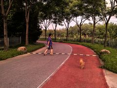 -上海长兴岛郊野公园