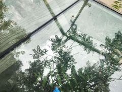 -十渡高山漂流