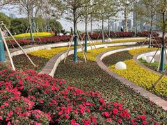 -北外滩滨江绿地