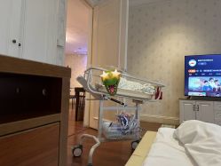 -沪壹健康国际母婴月子中心(360复旦奥医一妇婴东院店)