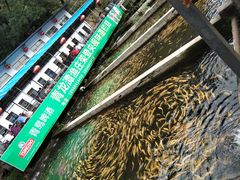 -青龙潭鱼庄